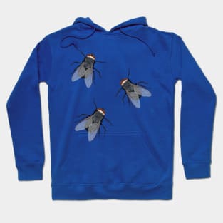 Flies Hoodie